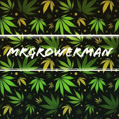 cannabis lover and grower in Europe 🌍
follow my instagram and YouTube channel for more content
YouTube: MrGrowerman