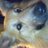 Hilbero's profile image