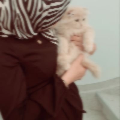 SafaPal's profile picture. Gaza🇵🇸