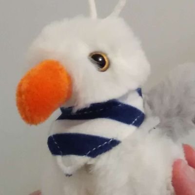 Your local Femboy System Adminitrator | | He/Him | DM's open | 27 y/o 💗💛💙 🇫🇷 | Pratice safe computing