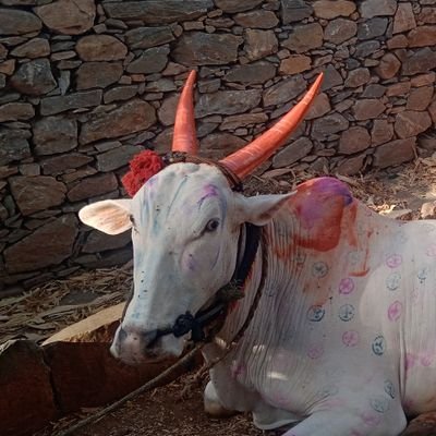 TMareguddi's profile picture. LEADER OF DEMOCRACY, CID(CITIZEN OF INDIAN DEMOCRACY) 🇮🇳 REPUBLIC OF INDIA