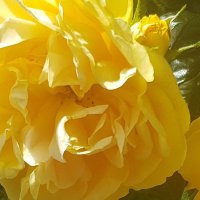 Carmelita444💚💚❤️ (@carmenmggenbur1) 's Twitter Profile Photo Carmelita444💚💚❤️ (@carmenmggenbur1) 's Twitter Profile Photo