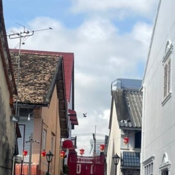 baseontt's profile picture. 