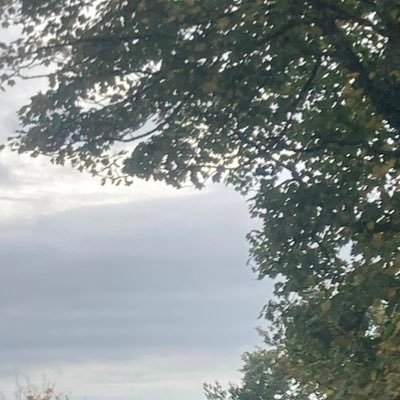 robothandshake2's profile picture. 