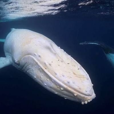 smooth1015's profile picture. Keep calm