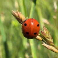 Sciences & EDD 17 (@17sciences) 's Twitter Profile