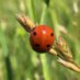 Sciences & EDD 17 (@17sciences) Twitter profile photo Sciences & EDD 17 (@17sciences) Twitter profile photo