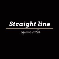 Straight Line Equine Sales (@straightlineeq) 's Twitter Profile