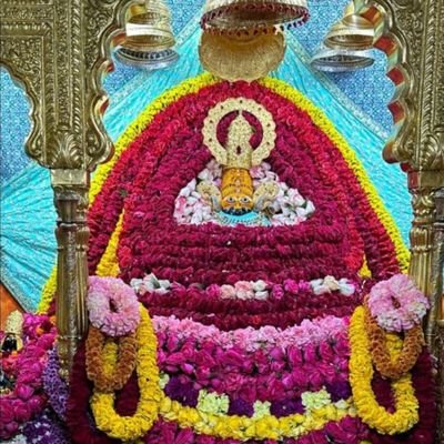 ashokku36065575's profile picture. Ashok Kumar
My Twitter handle