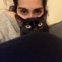 Sevgi Yılmaz (@sevgiviz) Twitter profile photo