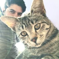 Tahir (@15___blade) 's Twitter Profile