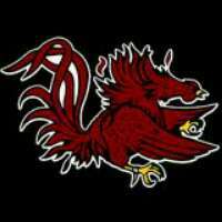 gamecockrick's profile picture. 