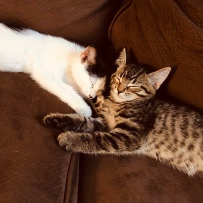 07Kanaa's profile picture. ‘92 トロントに在住4年目