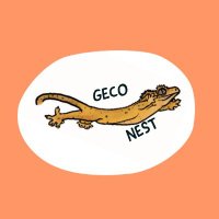 Geco Nest(@_Tymon__) 's Twitter Profile Photo