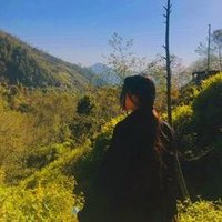 Spring Wind (@_lyn_deroyal) 's Twitter Profile