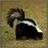 Aaron_mas's profile image