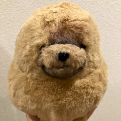 🪩ty0m0c0🛻さんのプロフィール画像