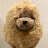 🪩ty0m0c0🛻 (@ty0m0c0) 's Twitter Profile