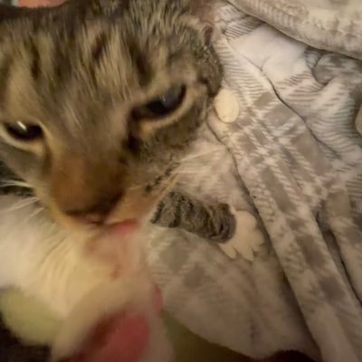 amandat670's profile picture. 