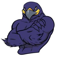 Iron Hawks Powerlifting (@ironhawkpwrlft) 's Twitter Profile