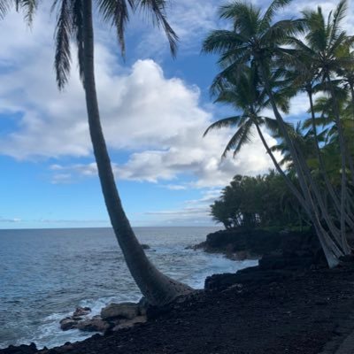 gringaguide's profile picture. Houston / Familia / Education