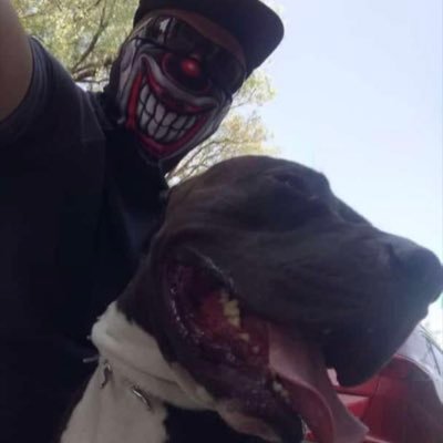 Luis35527213's profile picture. 