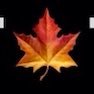 CanadaTalks_ Profile Picture