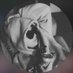 savannah. (@_ohsavannah) Twitter profile photo savannah. (@_ohsavannah) Twitter profile photo