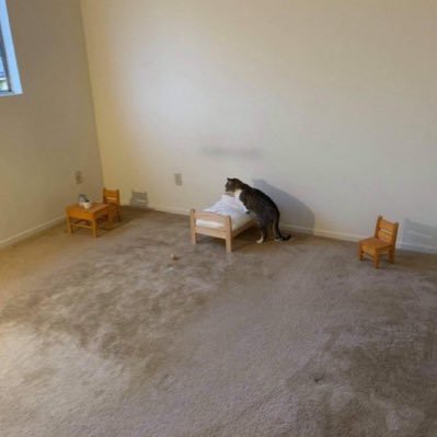 marrowon's profile picture. motherhood, pickings from my brain