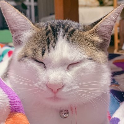 Teppei19911112's profile picture. 石巻市在住。 モンスト.FGO.ポケモンGO.ポケスリやってます。