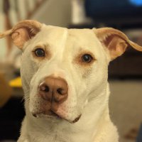 Erik Hoops (@ehoops) 's Twitter Profile