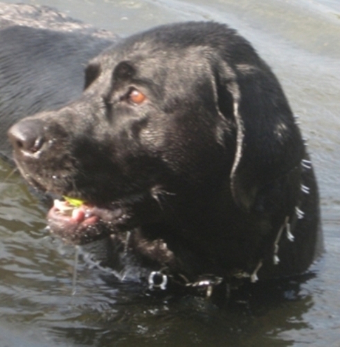 lgreen6G's profile picture. Grade 6 teacher at St. Thomas Aquinas.