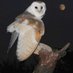 Arthemis (@dnewzeaun2) Twitter profile photo Arthemis (@dnewzeaun2) Twitter profile photo