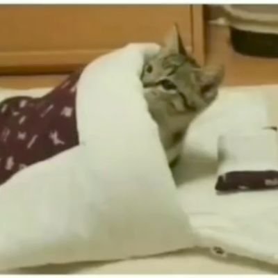 NEHAN_AHMAD789's profile picture. first think HARD,
then speak SOFT