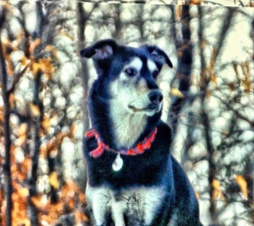 marcysummer's profile picture. .