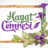 hayatcemresi(@_hayatcemresi) 's Twitter Profile Photo