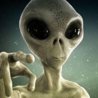 BLENON Yacinthe (@pipkinjo0gx7f) 's Twitter Profile