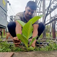 🌳ଜ୍ଞାନ ରଞନ🌳Gyana Ranjan Panda🌳 (@gnyanaranjanctc) 's Twitter Profile