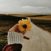 Chagolla Hannelore (@chagollaha66817) 's Twitter Profile