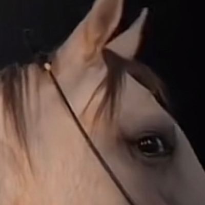 R000R2000's profile picture. 