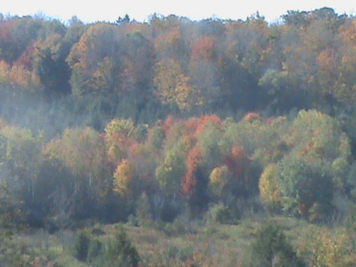 KEEP THE LANDS OF UPSTATE NY FREE OF GAS TRUCKS, HYDRAULIC FLUIDS.  WHAT WE DRILL, YOU WILL DRINK!