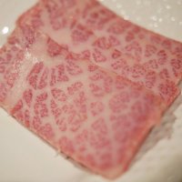 PursuitFarms Meats. “Best Wagyu Beef in America”(@PursuitFarms) 's Twitter Profile Photo