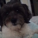 Hunter Rollins - @Hi200ultra - Twitter