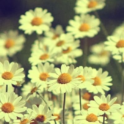 RwstaSlymh35167's profile picture. 