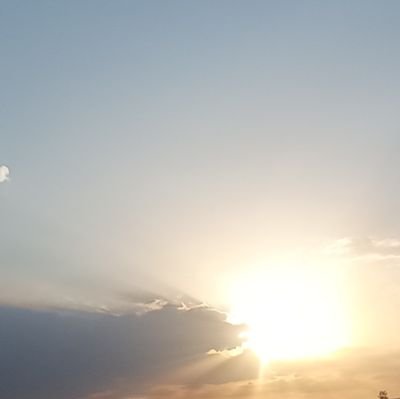 ALI_CZ2's profile picture. 