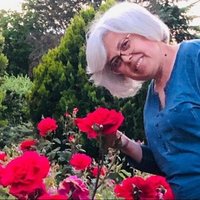 Nesrin Yiğit 🇹🇷 DM YOK (@nesrinyiit4) 's Twitter Profile Photo Nesrin Yiğit 🇹🇷 DM YOK (@nesrinyiit4) 's Twitter Profile Photo