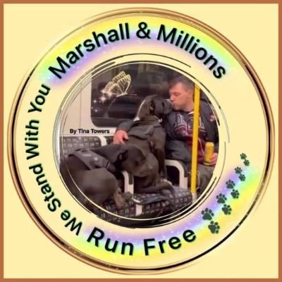 Justice for Marshall and Millions #justiceformarshallandmillions 🤍🙏🐶🐕🐾🕯️

Sign the petition: https://t.co/t67hoUuXIA
Donate: https://t.co/ZPJ21uAmYi