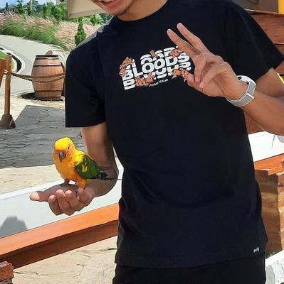 nebulizer411's profile picture. 