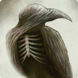 tolgarockmaster's profile picture. 