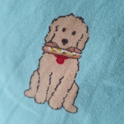 gosoftmango's profile picture. 당신을 구독합니다. 멍.